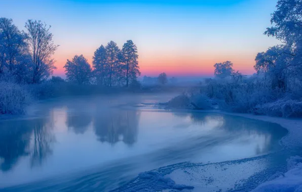 Картинка зима, снег, деревья, закат, река, Польша, камыш, Poland