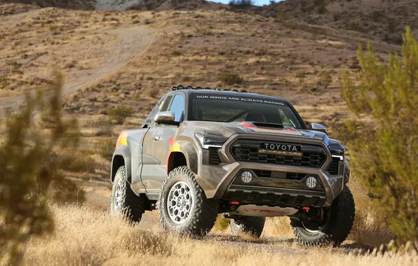 Toyota, SEMA, TRD, Tacoma, Toyota Tacoma, Livery, SEMA 2024, Toyota #84 Tacoma TRD ProRunner Race …