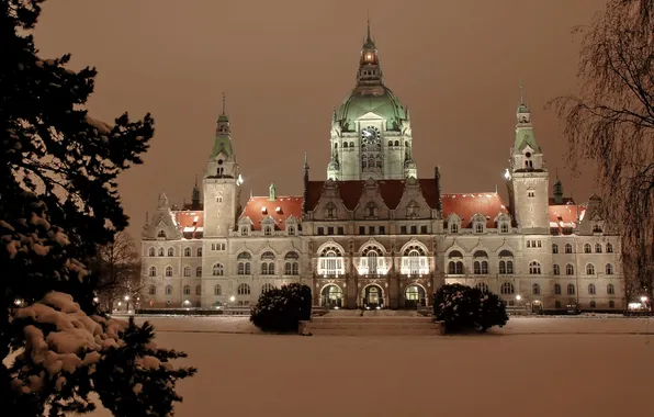 Картинка зима, снег, город, фото, здание, ель, Германия, кусты