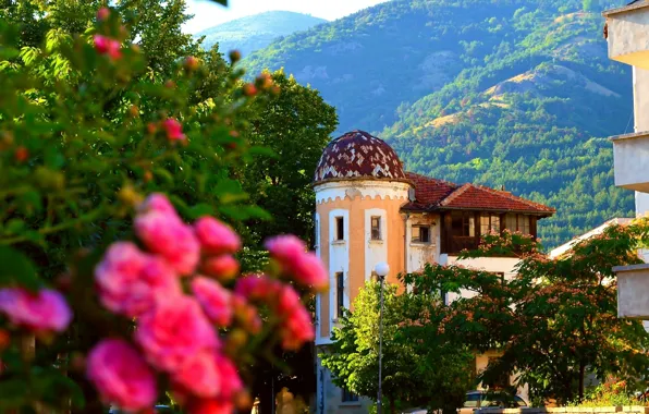 Картинка Природа, Горы, Розы, Nature, Roses, Mountains, Old house, Старый дом