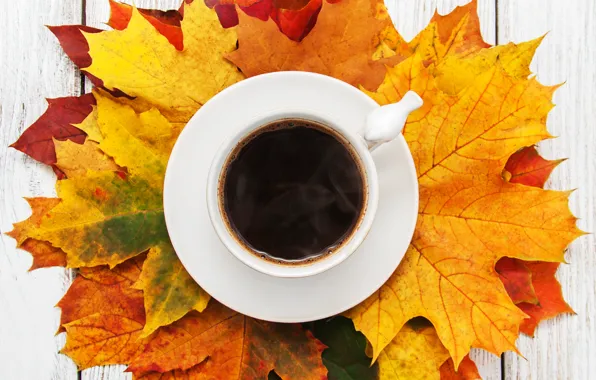 Осень, листья, wood, autumn, leaves, coffee cup, чашка кофе