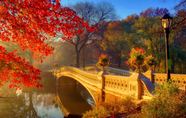Картинка осень, солнце, деревья, цветы, мост, туман, парк, утро