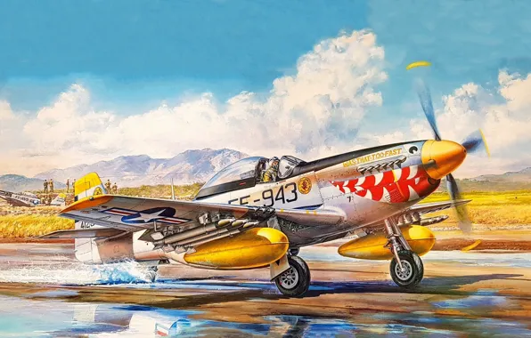 USAF, P-51D Mustang, Поршневой истребитель, F-51D Mustang