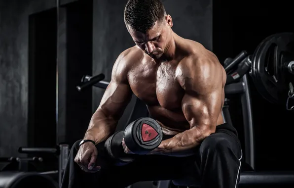 Поза, muscle, мышцы, тренировка, гантели, тренажерный зал, gym, бодибилдер
