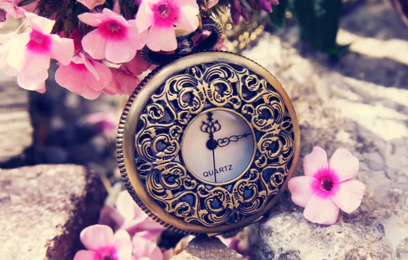Цветы, время, часы, весна, циферблат, flowers, spring, time