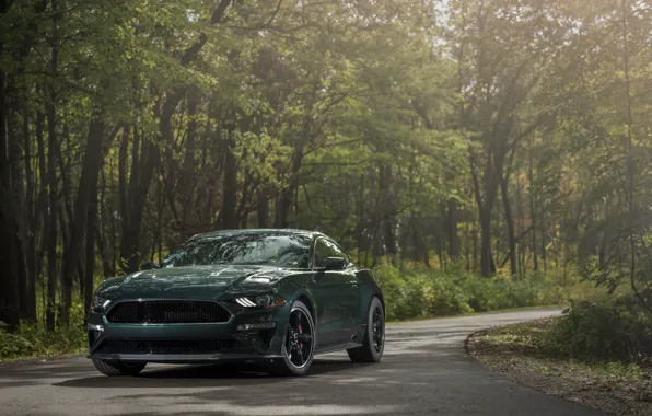 Mustang, Ford, Bullitt, 2019