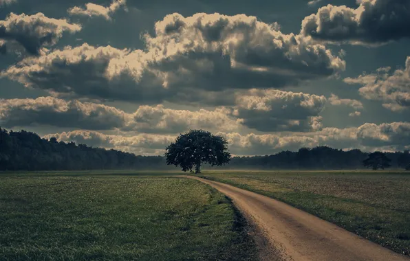 Дорога, облака, зеленая трава, красота, одинокое дерево, road, clouds, beauty