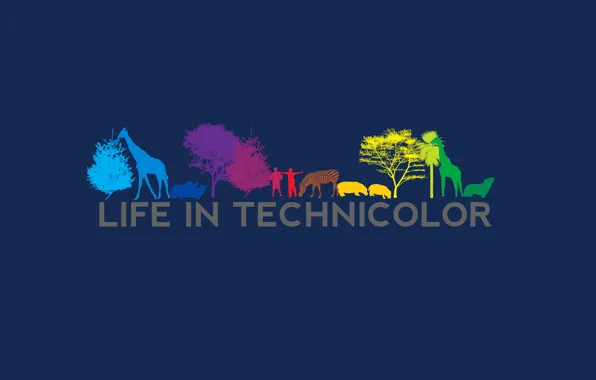 Фильм, силуэт, life in technicolor, жизнь в красках