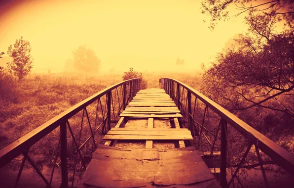 Трава, деревья, мост, природа