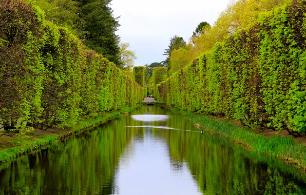 Water, park, spring, pond