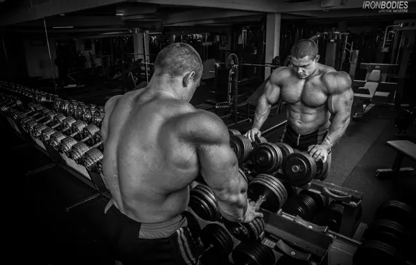 Bodybuilding, Gym, Лесуков