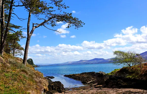 Море, небо, облака, деревья, побережье, Ирландия, Kenmare Bay, Kerry