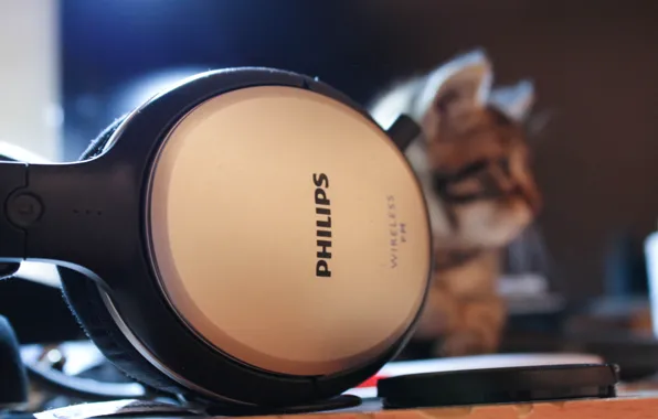 Картинка кот, наушники, полосатый, Phillips