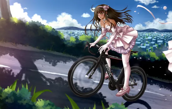 Дорога, небо, девушка, облака, цветы, велосипед, город, аниме