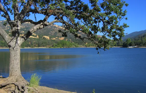Небо, горы, озеро, дерево, сша, California