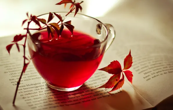 Картинка осень, листья, чай, чашка, красные, книга, бордовые