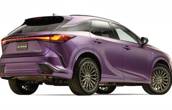 Картинка Lexus, Лексус, экстерьер, 2022, Lexus RX500h Sport Performance