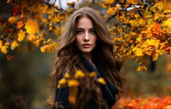 Осень, девушка, пейзаж, природа, парк, осенние листья, осенние жёлтые листья, ии арт