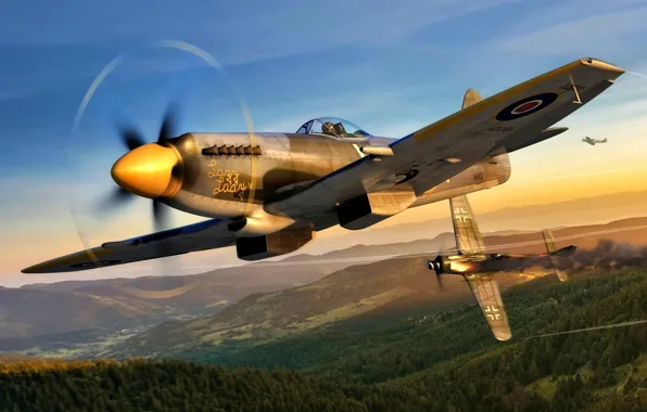 Истребитель-бомбардировщик, Focke-Wulf, Supermarine, WWII, Fw.190D-9, Spitfire Mk.XIVe