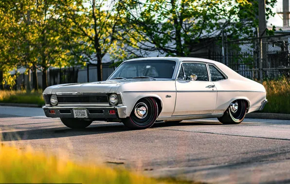 Chevrolet, Muscle, Classic, Coupe, White, Nova, Muscle car, Hardtop
