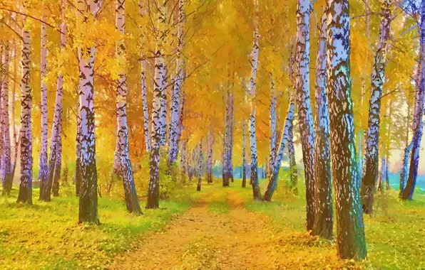Картинка дорога, осень, трава, листья, деревья, пейзаж, картина, березы