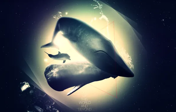 Картинка дельфин, кит, бездна
