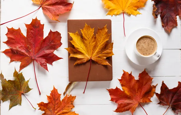 Картинка осень, листья, фон, colorful, клен, wood, autumn, leaves