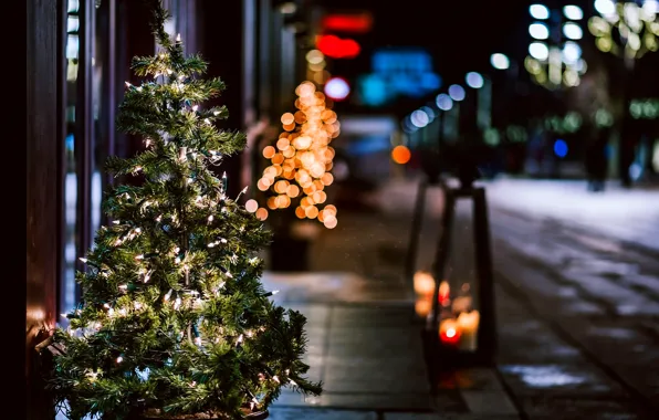 City, город, lights, огни, дерево, праздник, улица, Happy New Year