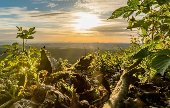 Пейзаж, природа, красота