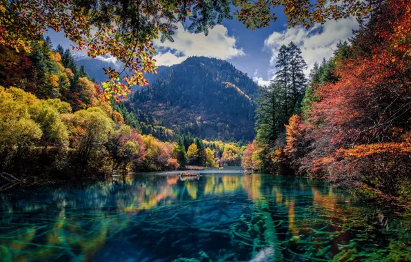 Осень, деревья, горы, природа, озеро, река