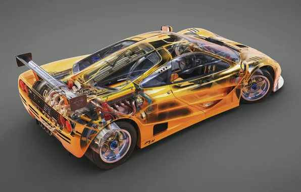 Supercar, cutaway, mclaren f1 lm