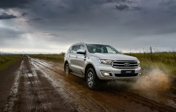 Брызги, Ford, грунтовка, Everest, 4WD, XLT, 2019