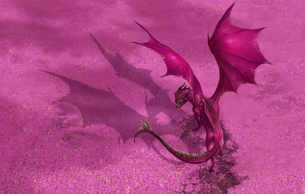 Дракон, Крылья, Fantasy, Dragon, Art, Фантастика, Illustration, Creatures
