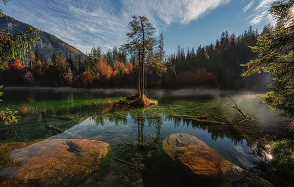 Картинка осень, лес, озеро