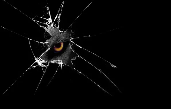 Desktop, glass, black, spy, eye, look, creature, broken glass