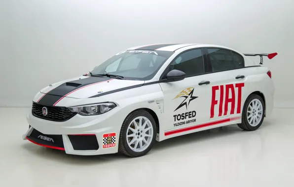 Fiat, Race Car, Egea, TOMSFED
