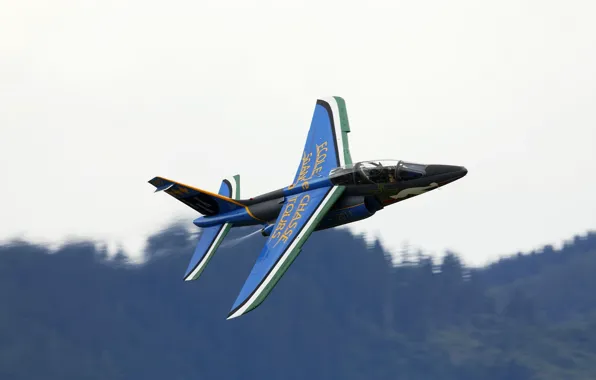 Штурмовик, реактивный, лёгкий, Alpha Jet