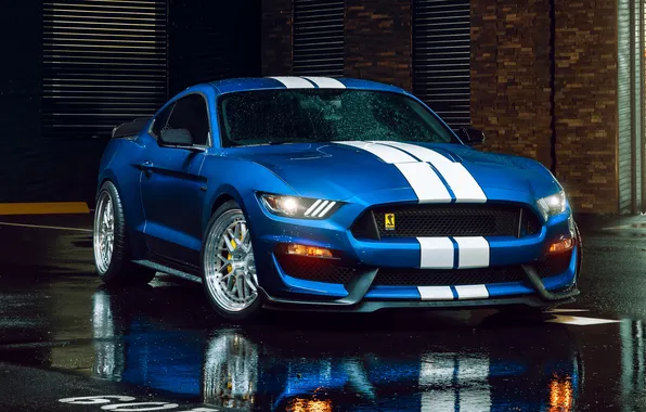 Car, Ford, Shelby, Ford Mustang, wet, blue cars, reflection, muscle cars