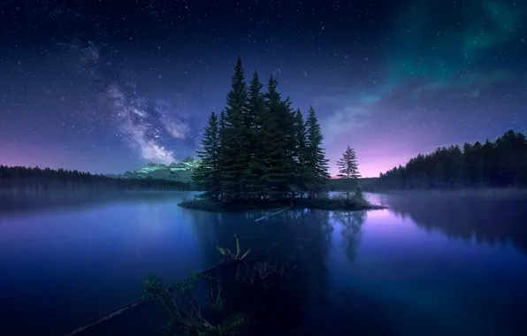 Картинка лес, небо, ночь, северное сияние, Канада