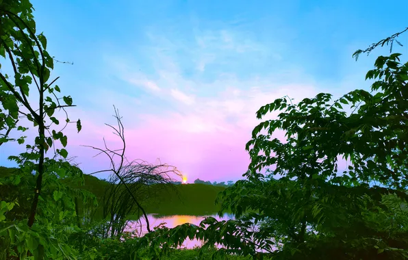 Sky, Sun, Water, Sunrise, Dawn, Morning, Lake, Trees