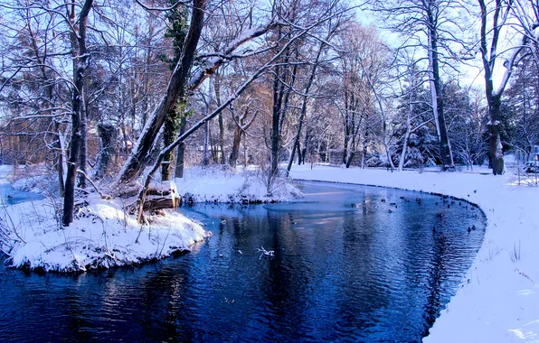 Park, winter, snow, pond