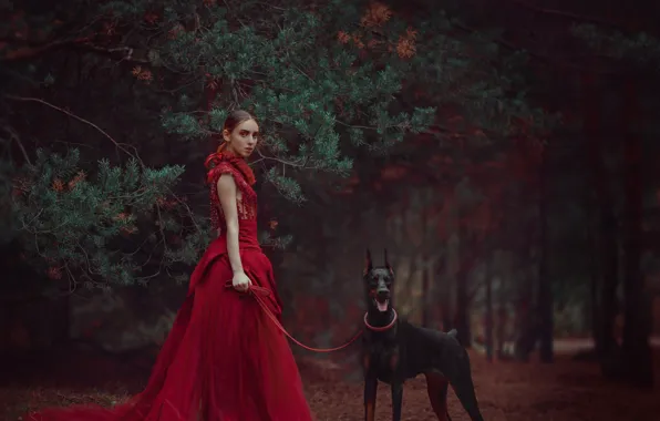 Картинка лес, девушка, ветки, стиль, собака, платье, красное платье, сосна