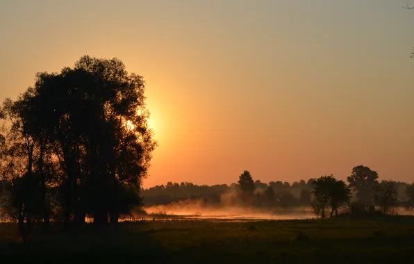 Картинка туман, утро, расвет