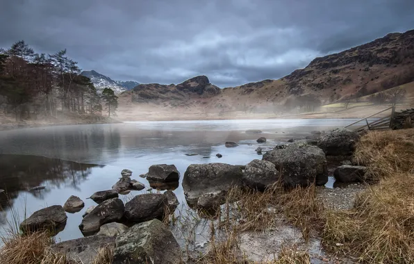 Пейзаж, туман, озеро, утро