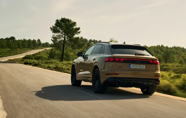 Картинка Audi, rear view, Q8, Audi Q8 2024