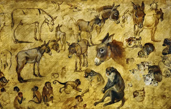 Картинка животные, картина, Ян Брейгель старший, Эскизы Зверей