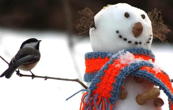 Картинка зима, снег, птица, шарф, снеговик, орехи, веточки, арахис