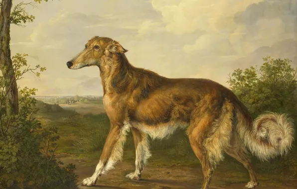 Собака, картина, Сибирская Борзая, Jan Dasveldt