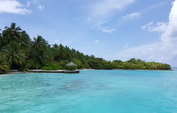 Небо, тропики, пальмы, океан, остров, белый песок, Мaldives