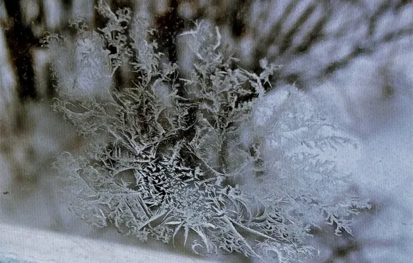 Зима, узоры, снежинка, снежинка на стекле, зимние узоры
